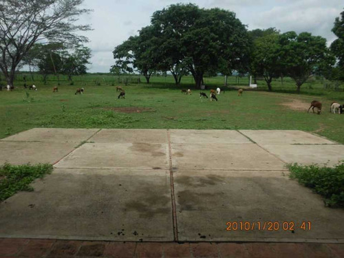 Imagen 15 de 17 de Finca En Venta Calabozo Edo.guárico