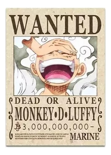 Cuadro Decorativo Madera 28x40 Cm One Piece Lufy Wanted Nami