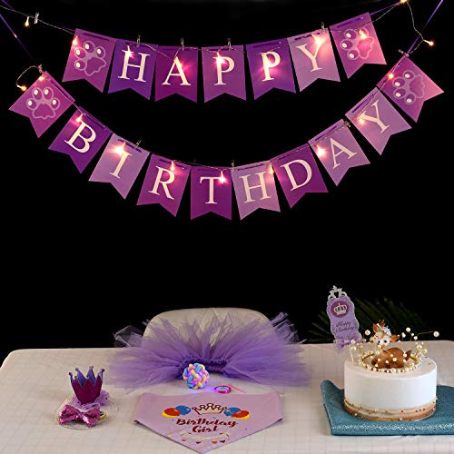 Conjunto De Bandana De Cumpleaños Perros Niña/niño, ...