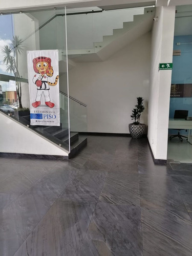 Imagen 5 de 30 de Local Comercial En Planta Baja Frente Al Congreso Del Estado