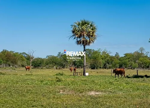 Venta Campo Ganadero 589 Has Provincia Del Chaco