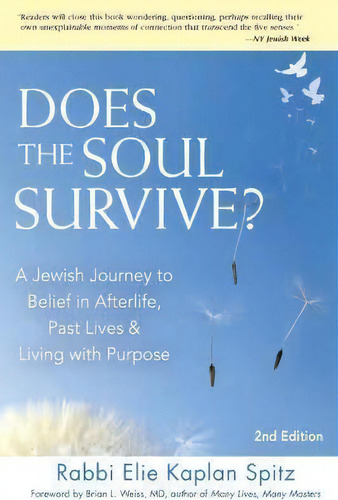 Does The Soul Survive?, De Rabbi Elie Kaplan Spitz. Editorial Jewish Lights Publishing, Tapa Blanda En Inglés