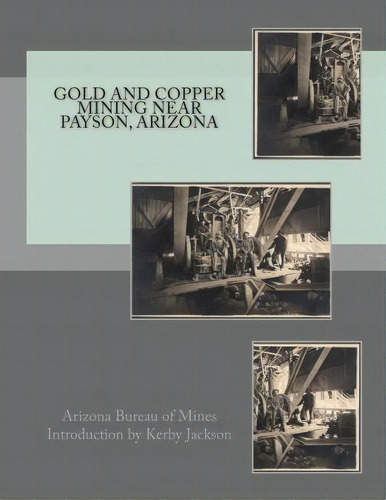 Gold And Copper Mining Near Payson, Arizona, De Arizona Bureau Of Mines., Vol. 1. Editorial Createspace Independent Publishing Platform, Tapa Blanda En Inglés