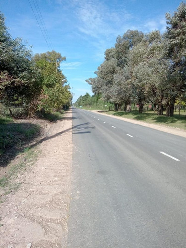 Imagen 4 de 6 de Terreno Tipo Chacra