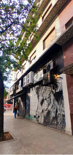 Departamento De 1 Ambiente 25 M2 En Colegiales Palermo