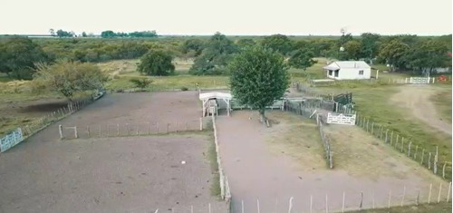 Imagen 2 de 15 de Campo Ganadero