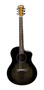 Primera imagen para búsqueda de listado guitarra electroacustica palmer