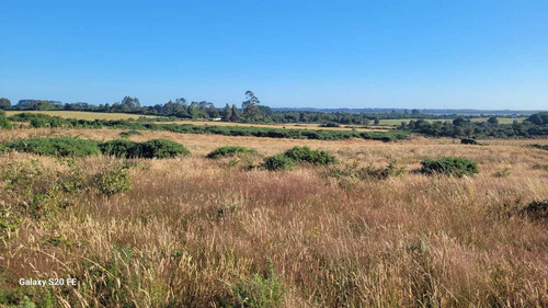 Vive En El Campo, Parcelas En Maullín. (73358)