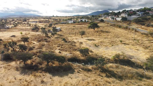 Terreno En Venta: San Miguel De Allende, Sosnabar