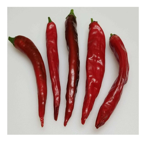 + De 22000 Semillas De Chile Mirasol O Guajillo 100 Gramos