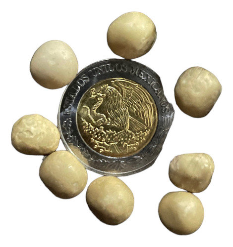 Piedra De Coyote