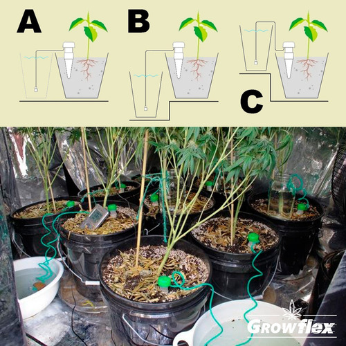 Imagen 4 de 7 de Riego Ceramico Indoor Box Cultivo X4 Growflex