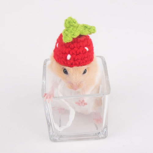 Gorro De Hámster Con Forma De Orejas De Conejo (9 #mold), Di