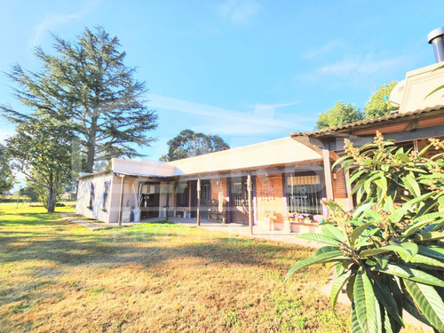 Hermosa Casa-quinta Sobre Av. Campaña Del Desierto