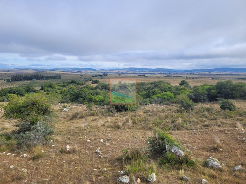 Imagen 20 de 30 de 79 Hás Campo Criador Y Serrano En Corte De La Leña