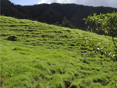 Finca En Venta La Unión Via Abejorral Antioquia. 83 Hectareas