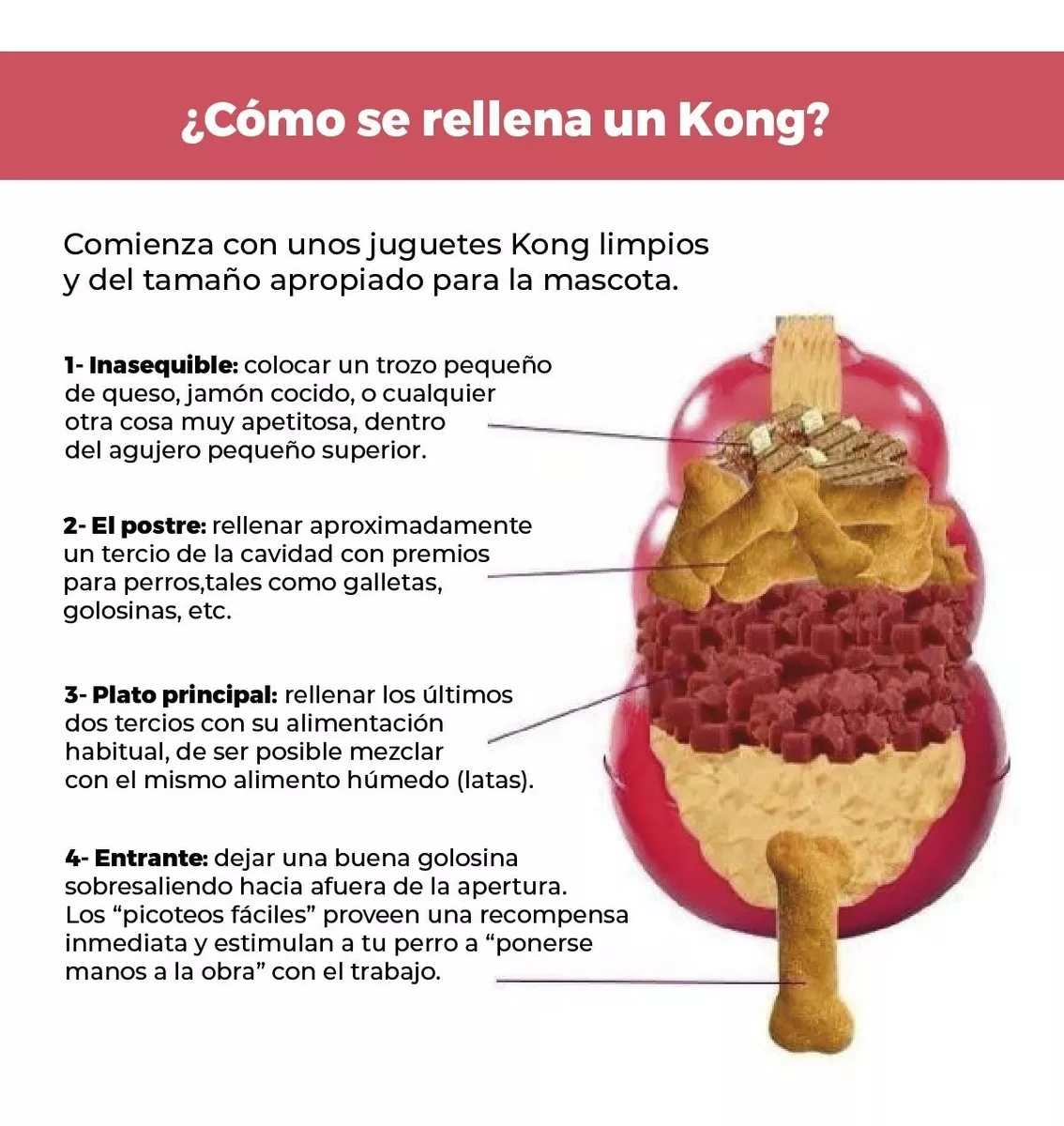 Segunda imagen para búsqueda de juguetes interactivos para perros