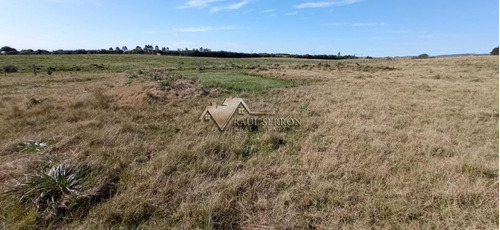 Imagen 27 de 30 de En Venta Chacra De 7,5 Has Con Casa, Ruta 39 - Maldonado Ruta 39