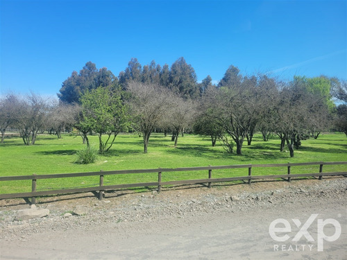 Venta De Parcela, Camino A Zapallar Curicó, 6.142 M2