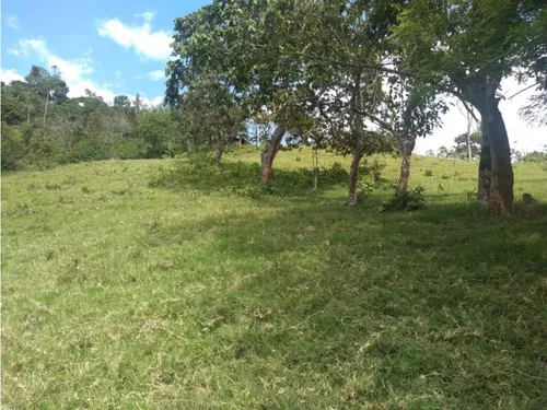 Vendo Finca Ganadera Cerca A La Cabecera De Armenia Mantequilla Ant.
