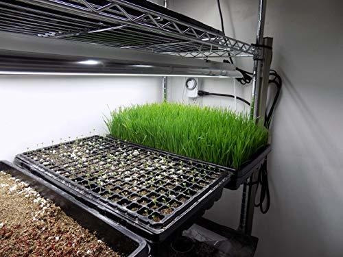Imagen 2 de 4 de 1020 Charola Tra Fuerte Para Plantar Propagacion Sin Hoyo St