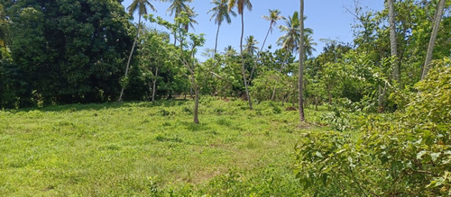 Vendo 9 Tareas De Terreno A 5 Minutos De La Playa En Los Robalos, Samaná, Rep.dom