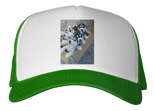 Gorra Husky Siberiano Cachorros M2