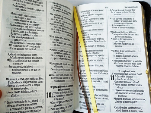 Imagen 8 de 10 de Biblia Rvr60 Let Gde Imit Piel Café León Oro Cierre E Índice
