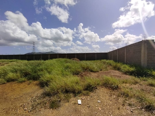 Imagen 11 de 11 de Terreno Ubicado En Sector Las Guevaras, Municipio Diaz - Nueva Esparta