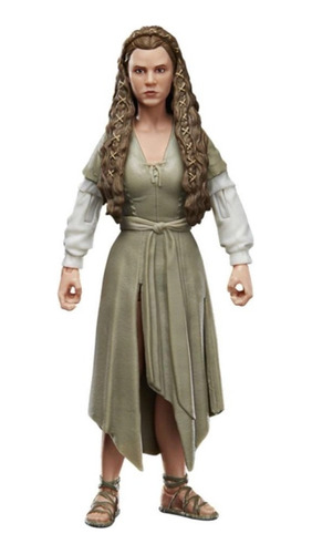 Princesa Leia Star Wars The Black Series Hasbro F4352