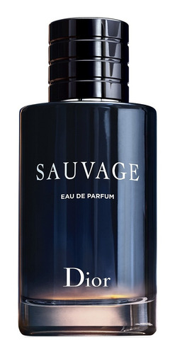 Perfume Importado Hombre Dior Sauvage Edp - 100ml