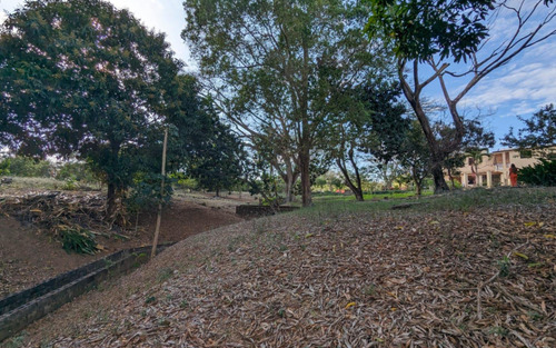 Terreno (finca) En Venta En San Francisco De Macorís