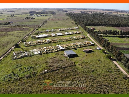 Chacra 10 Has En Venta - Monoambiente En Sauce