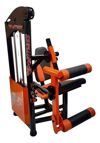 Extensora E Flexora Conjugada 100kg