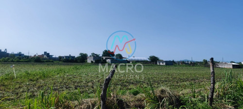 Terreno En Venta En Col. Emiliano Zapata En Avenida Principal Cerca Del Centro De Cuautla