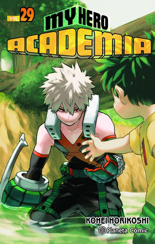 My Hero Academia 29 - Horikoshi, Kohei