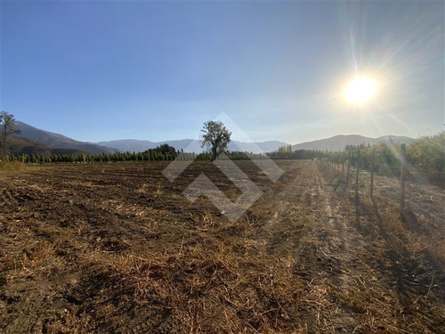 Imagen 17 de 27 de Parcela Agrícola En Venta En Paine