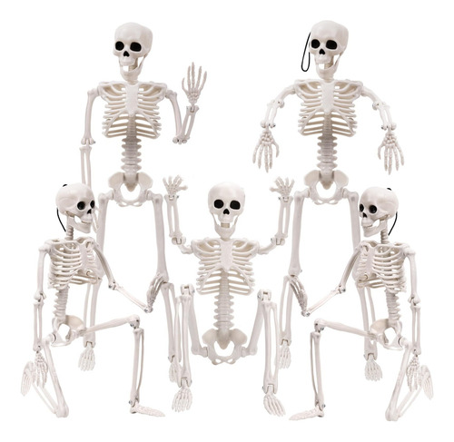 Decoraciones De Esqueletos De Halloween, Esqueleto De Plásti