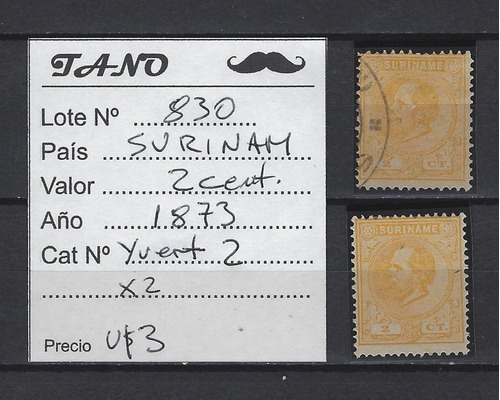 Lote830 Surinam 2 Cent. Año 1873 Yvert# 2 Nueva Y Usada