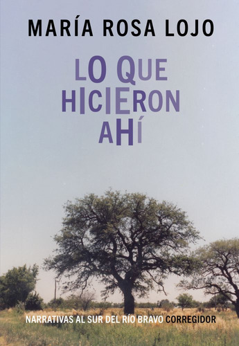 Lo Que Hicieron Ahi, De Maria Rosa Lojo. Editorial Corregidor, Tapa Blanda En Español, 2023