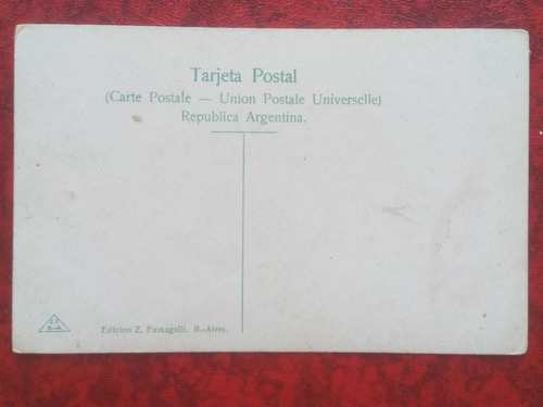 Buenos Aires Palacio De Gobierno 1900 Postal Z. Fumagalli