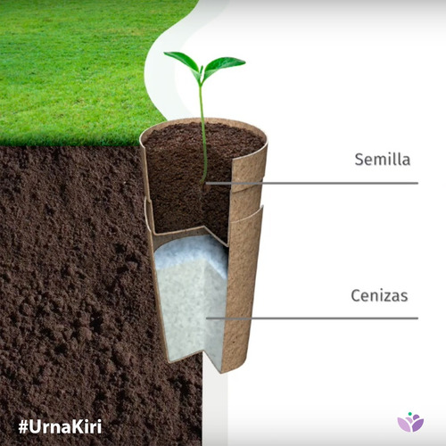 Urna Biodegradable Kiri - Arbol De La Vida - Urna De Cenizas
