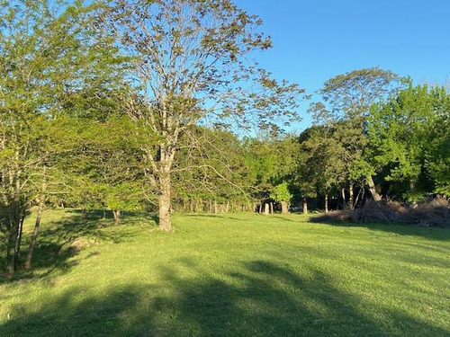 Terreno Entre Caminos . Zona Parque Ecológico
