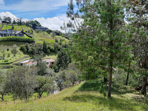 Venta Lote En El Alto De Las Palmas