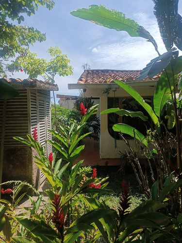 Venta Casa Urbanización La Boyera (dh)