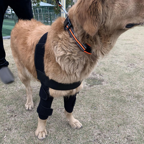 Perro Rodillera Muñequera Vendas Mascota Codo Rodillera S