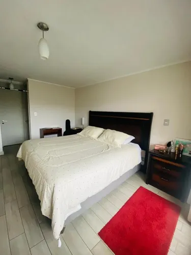 Hermoso Departamento En Providencia