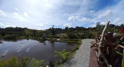 Lote y casalote en venta