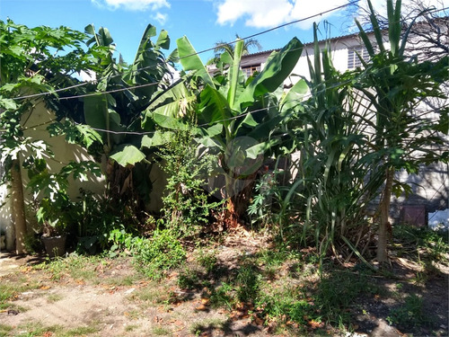 Imagem 12 de 15 de Terreno Na Vila Guilherme - Reo264343