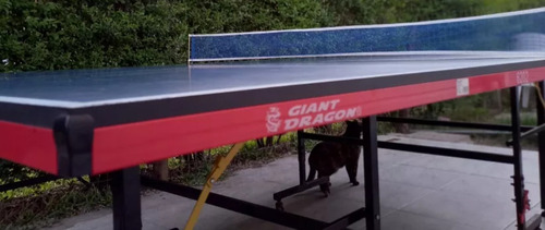 Mesa De Ping Pong Interior (Usado)